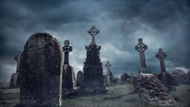 گزارش قبرستان صرافی‌ها در کریپتووازیر