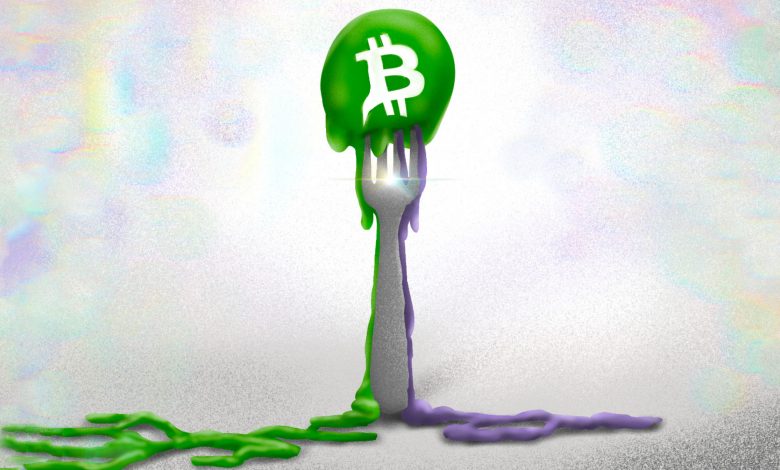 بیت کوین‌کش BCH Bitcoin cash