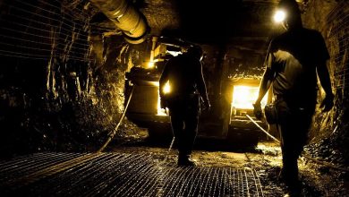 افزایش تعداد پرونده‌های استخراج رمزارز