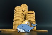 رویکرد نهنگ‌های بیت کوین در روزهای منفی بازار