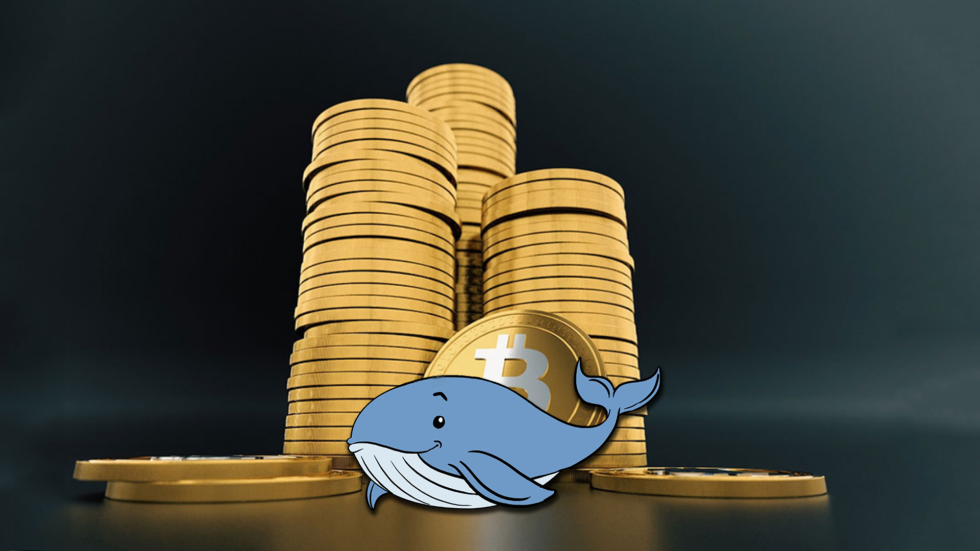 رویکرد نهنگ‌های بیت کوین در روزهای منفی بازار