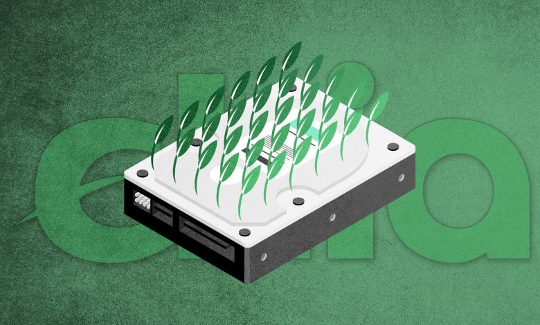 شبکه‌ی چیا chia network