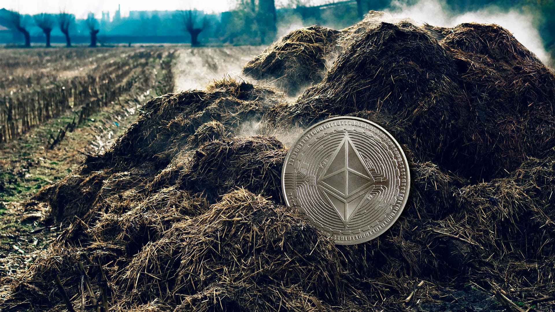 استفاده از انرژی الکتریکی حاصل از کود گاوی برای استخراج رمزارز